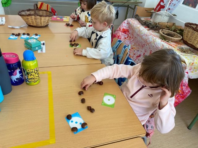 IMG-20211130-WA0018 (Pequeño)