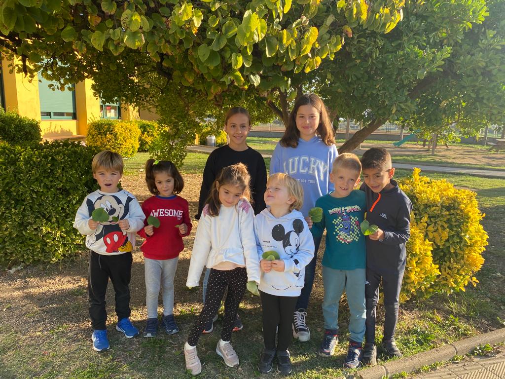 WhatsApp Image 2022-11-22 at 08.50.12 (4)