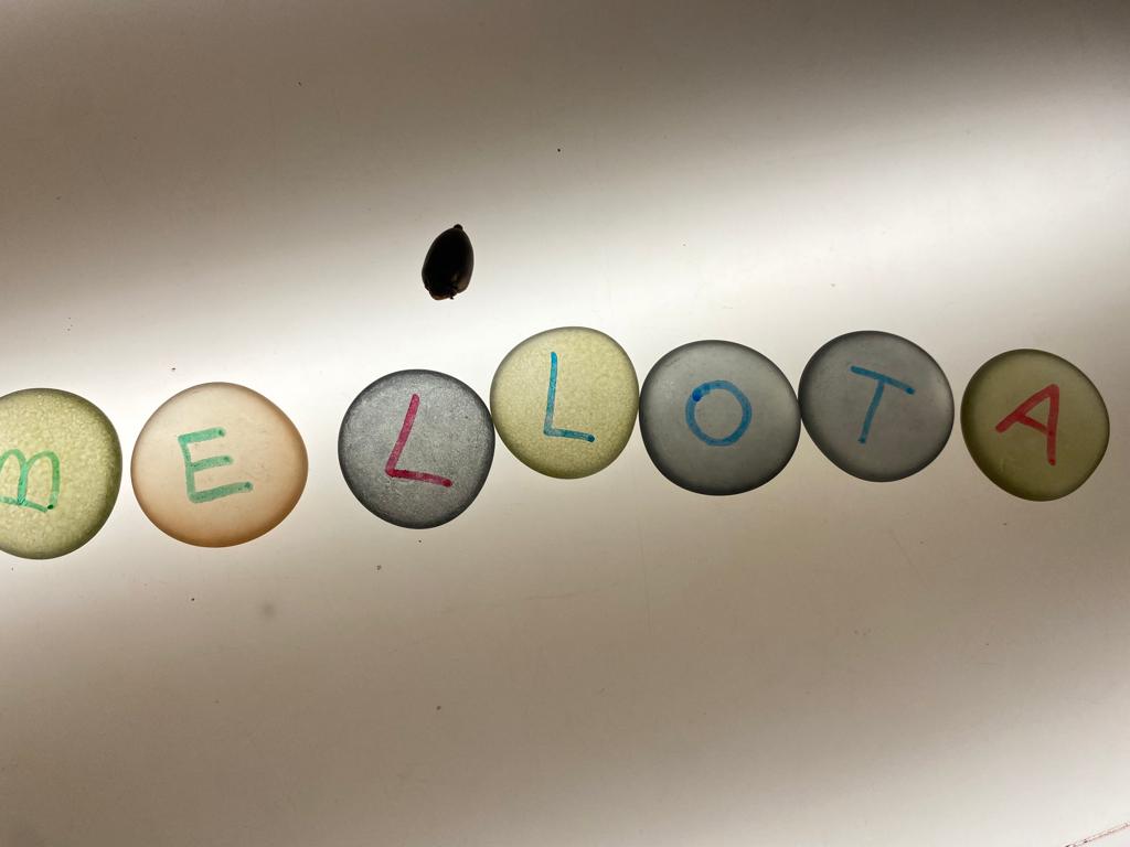 WhatsApp Image 2022-12-13 at 08.54.25 (10)