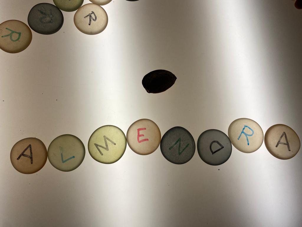 WhatsApp Image 2022-12-13 at 08.54.25 (7)