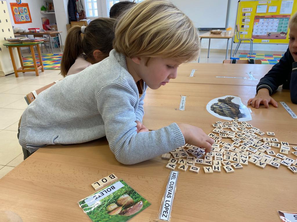 WhatsApp Image 2022-12-13 at 10.43.51