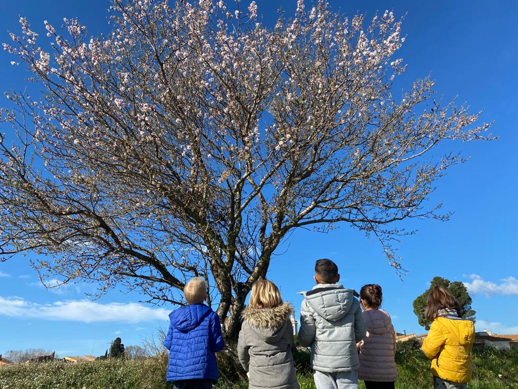 WhatsApp Image 2023-03-16 at 07.28.18