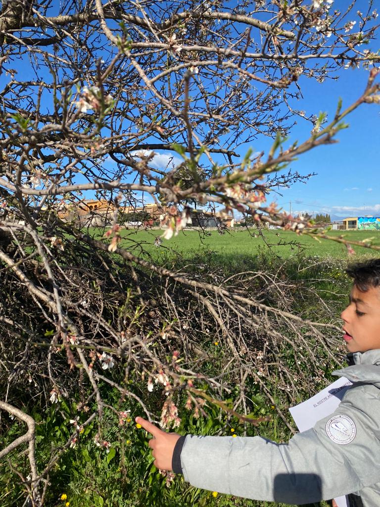 WhatsApp Image 2023-03-16 at 07.29.09