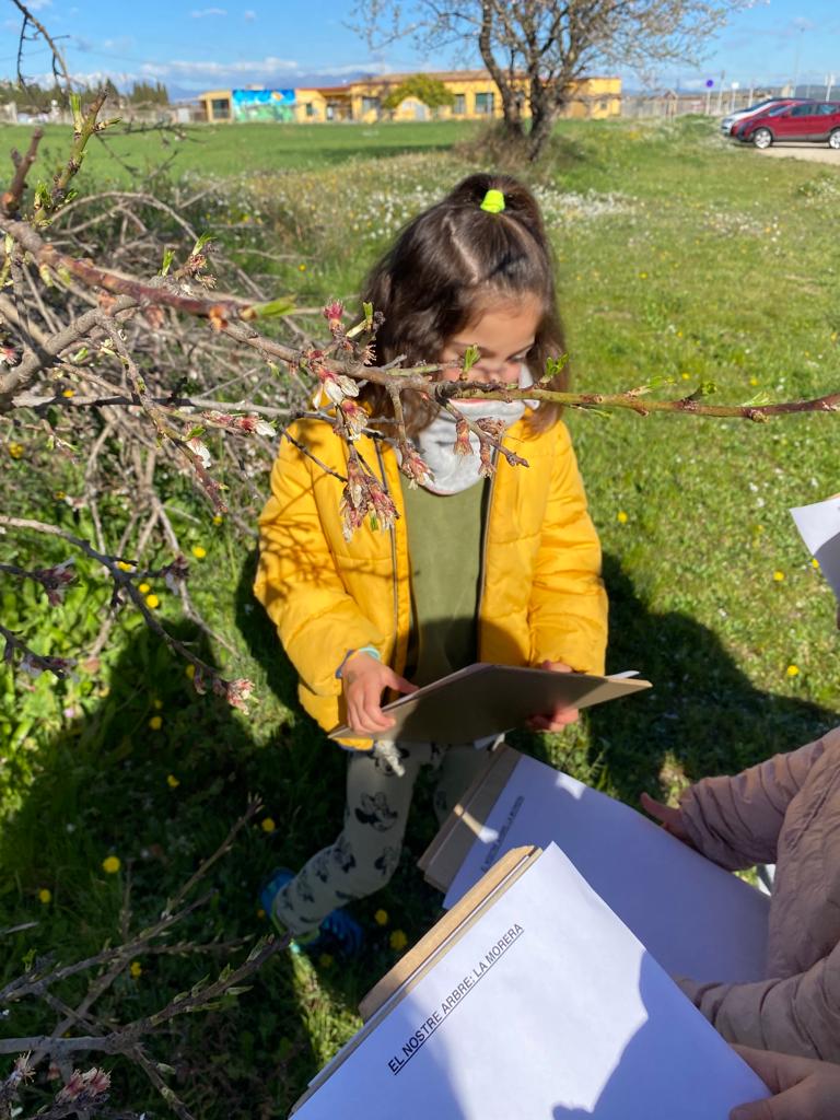 WhatsApp Image 2023-03-16 at 07.29.37