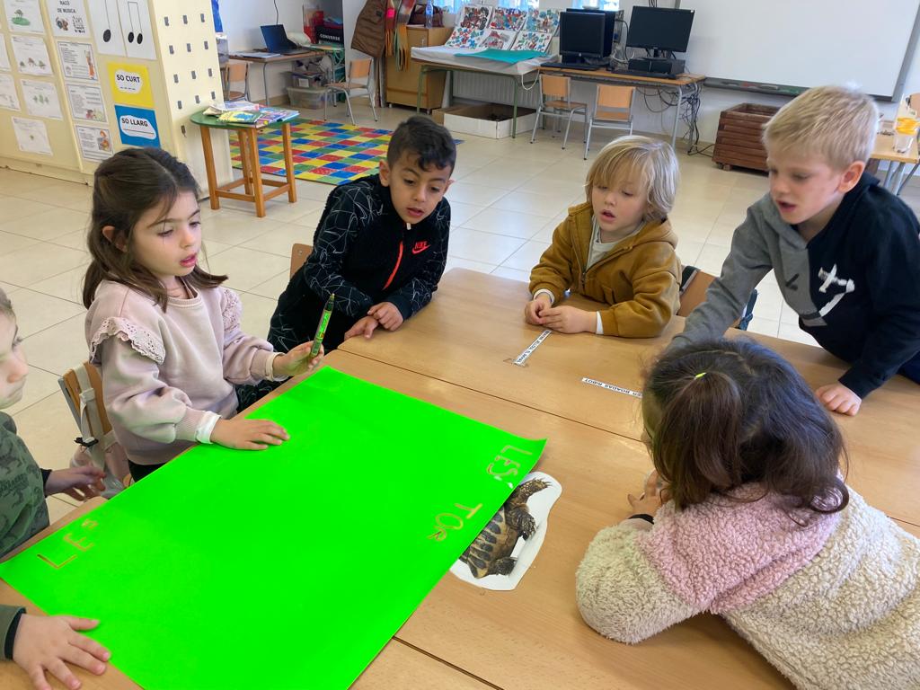 WhatsApp Image 2023-03-20 at 15.49.59 (1)