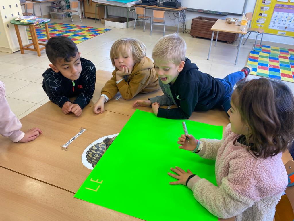 WhatsApp Image 2023-03-20 at 15.49.59