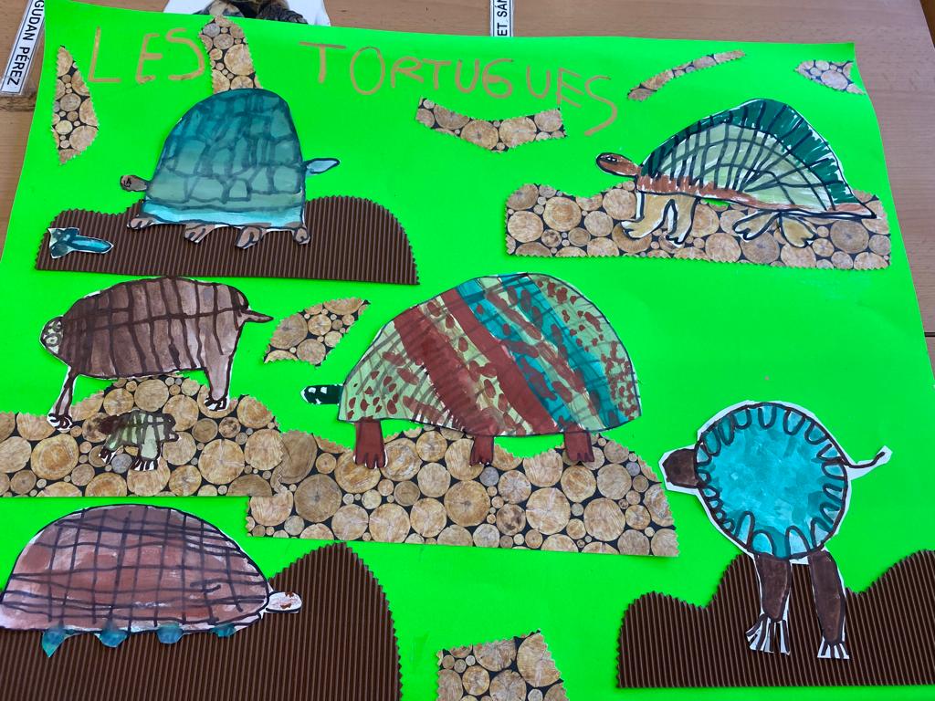 WhatsApp Image 2023-03-20 at 15.50.12