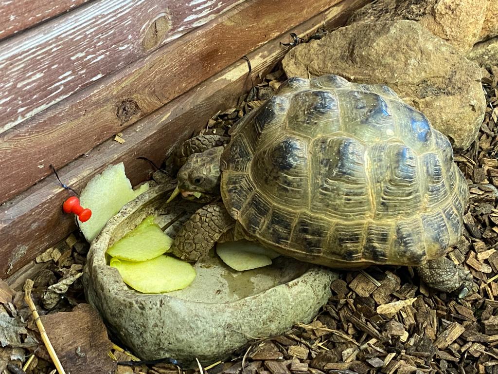 WhatsApp Image 2023-03-20 at 15.50.49