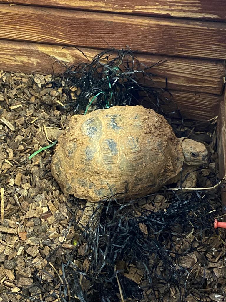 WhatsApp Image 2023-03-20 at 15.51.00