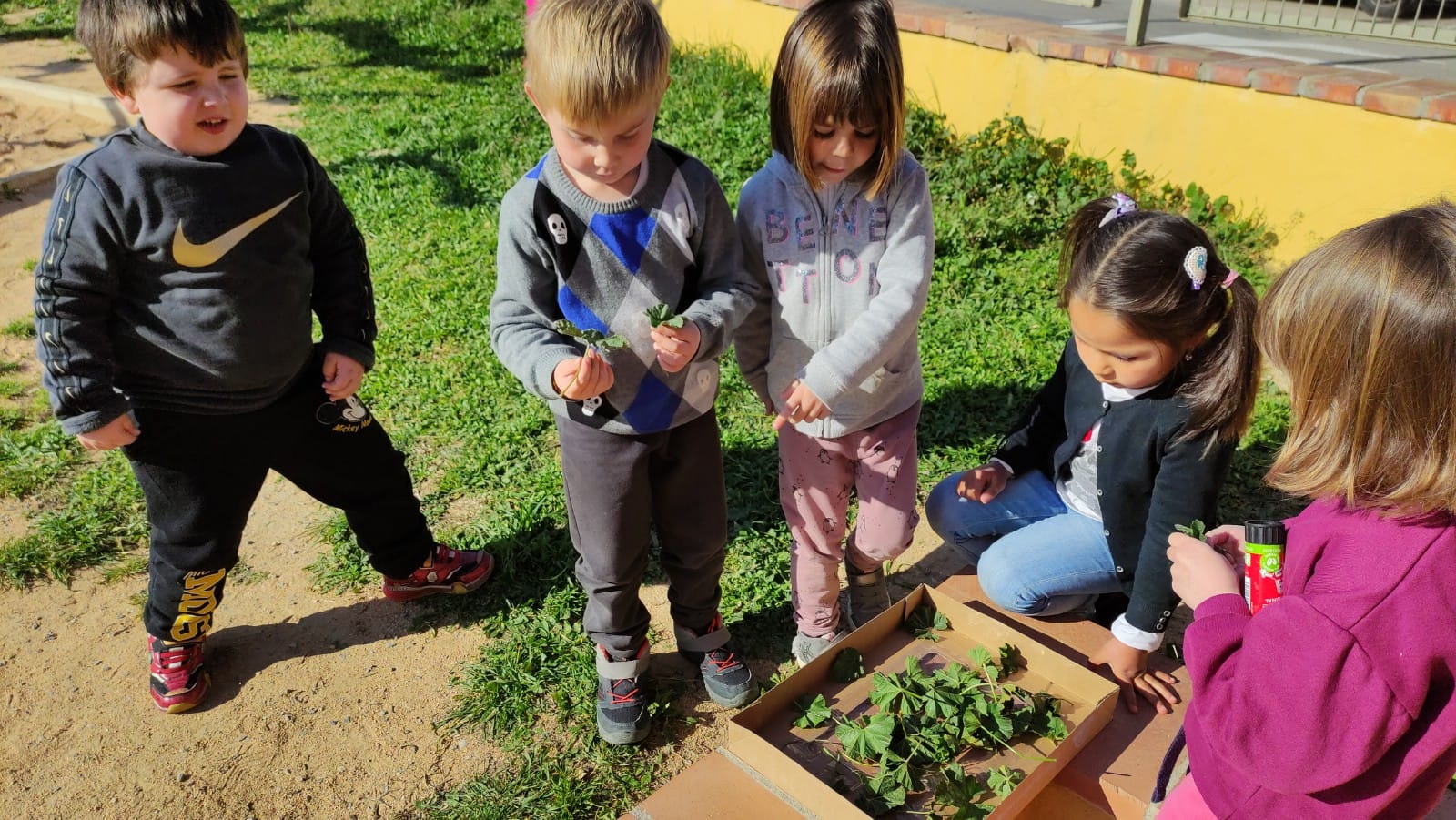 WhatsApp Image 2023-03-21 at 17.43.48 (1)