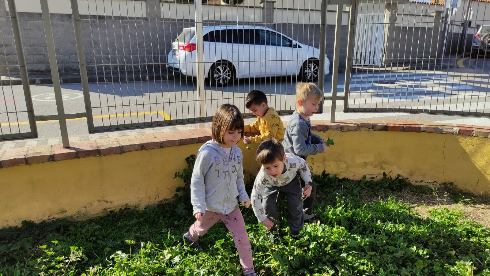 WhatsApp Image 2023-03-21 at 17.43.48