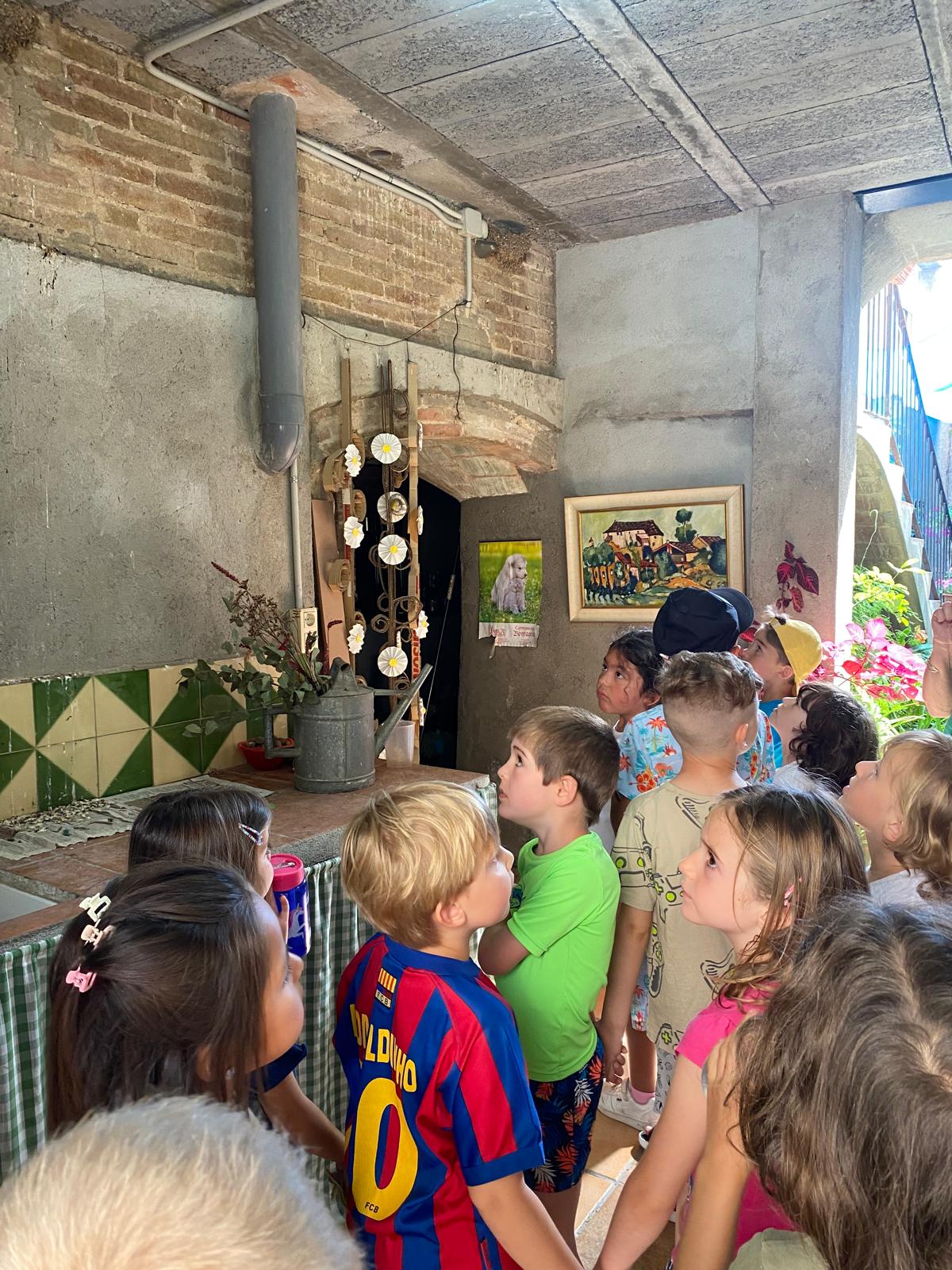 WhatsApp Image 2024-06-20 at 00.08.40