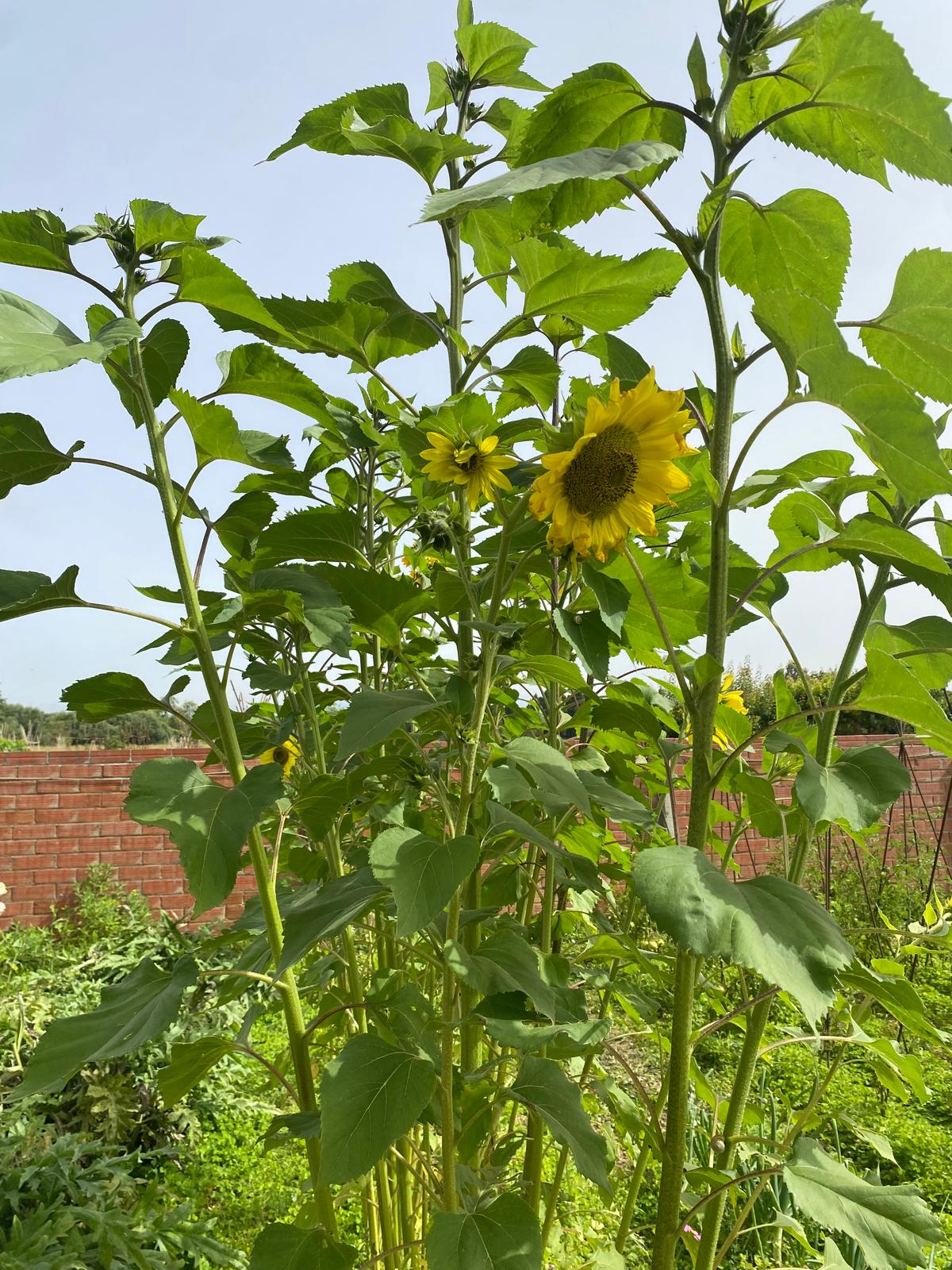 WhatsApp Image 2024-06-20 at 00.10.13