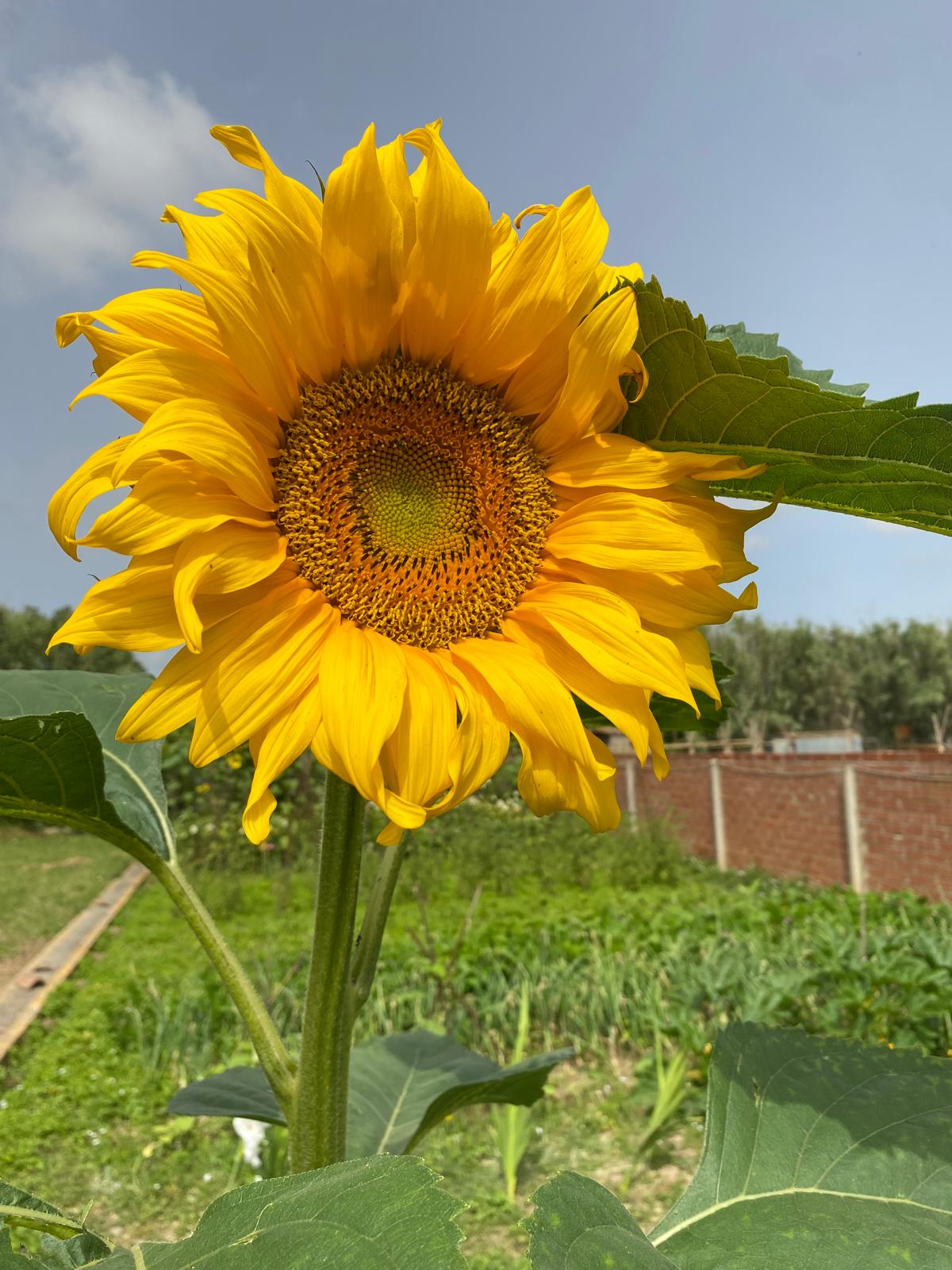 WhatsApp Image 2024-06-20 at 00.10.24