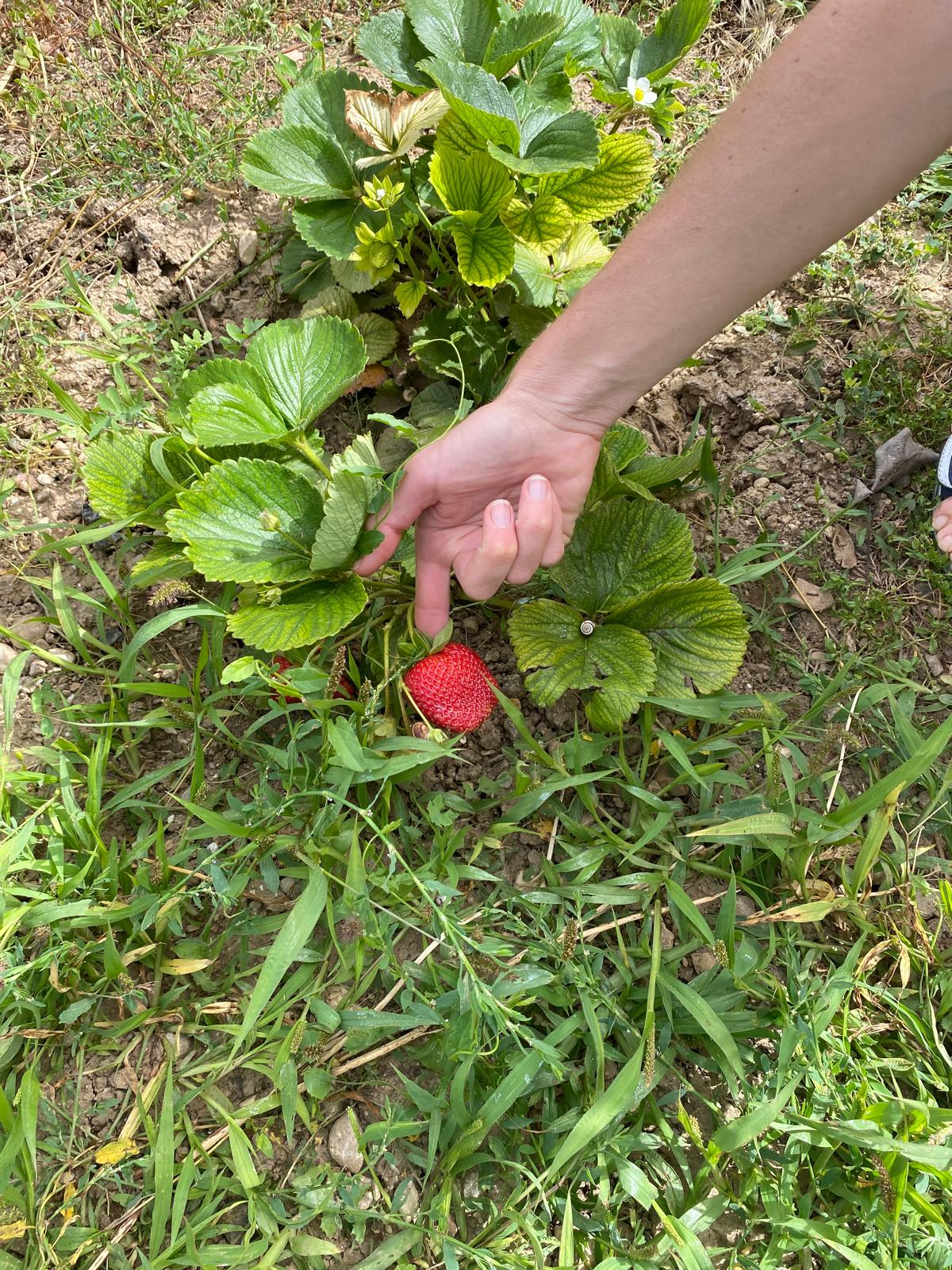 WhatsApp Image 2024-06-20 at 00.12.10