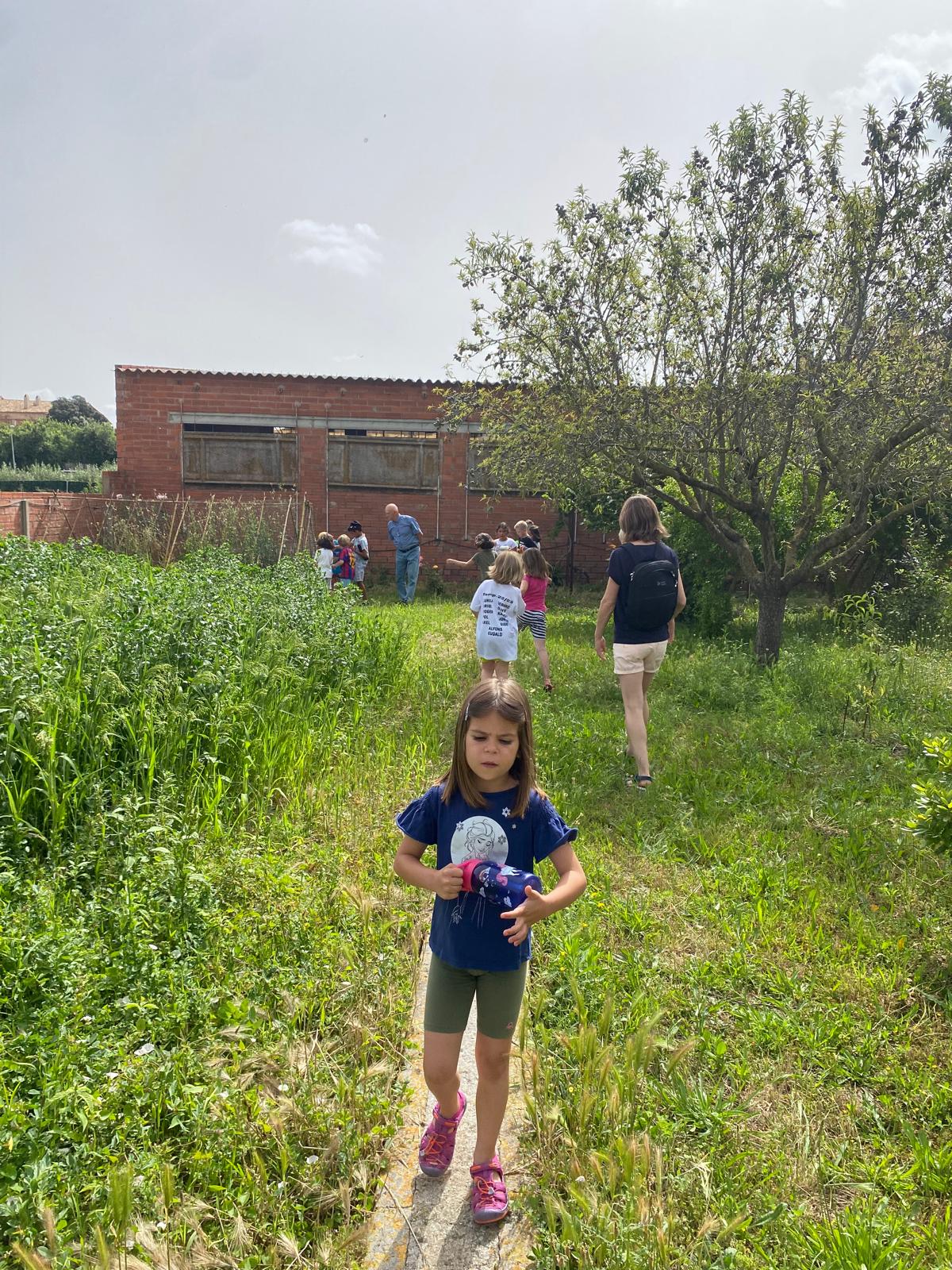 WhatsApp Image 2024-06-20 at 00.12.37