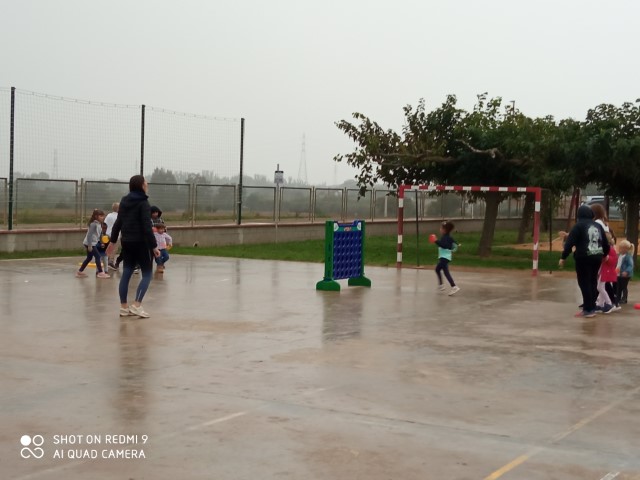 IMG_20241030_153511 (Pequeña)