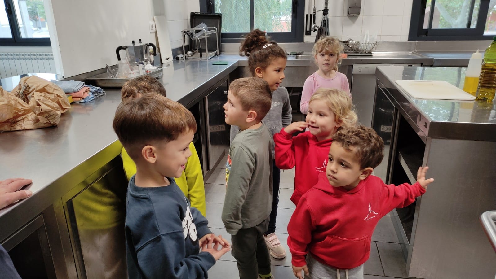 WhatsApp Image 2024-11-16 at 11.52.26