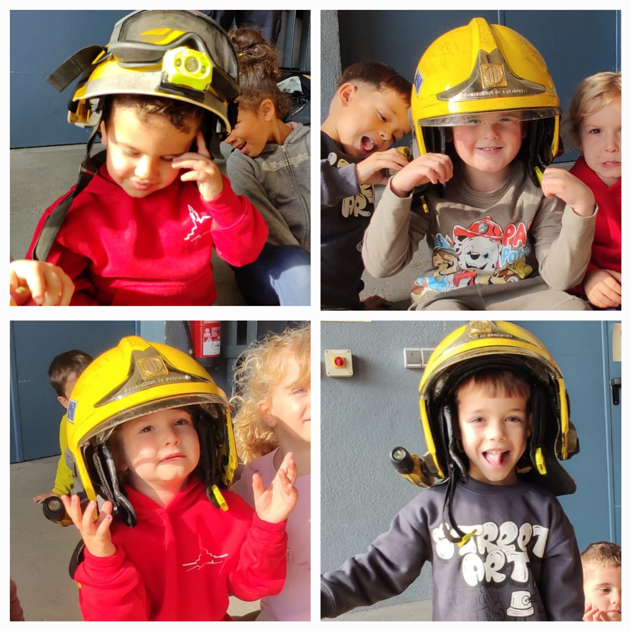 WhatsApp Image 2024-11-16 at 11.53.03 (1)