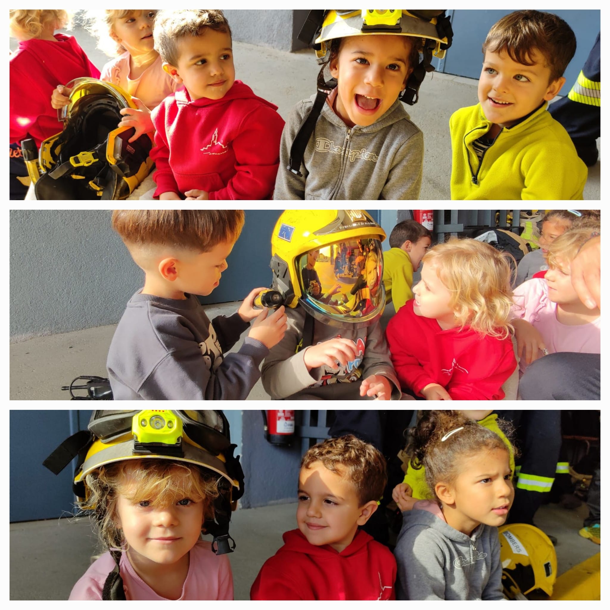 WhatsApp Image 2024-11-16 at 11.53.03