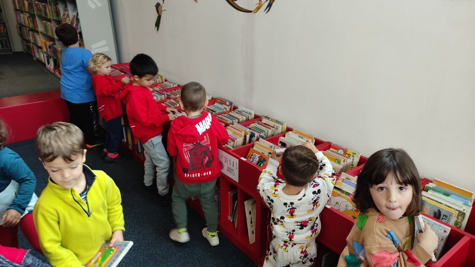 WhatsApp Image 2024-11-16 at 11.55.34