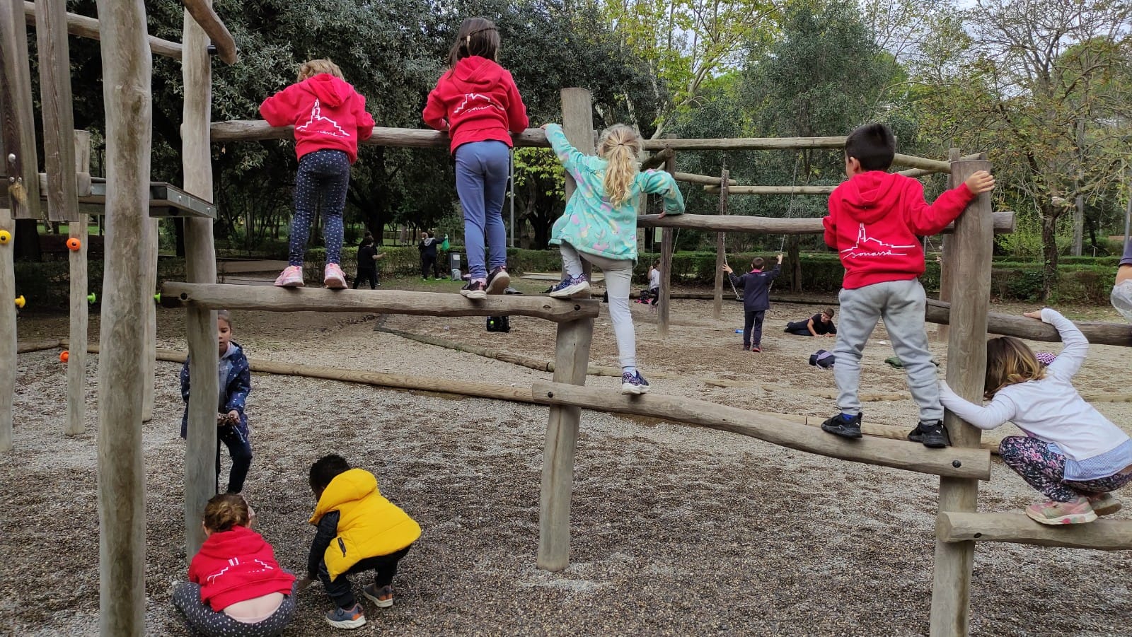 WhatsApp Image 2024-11-16 at 11.56.46