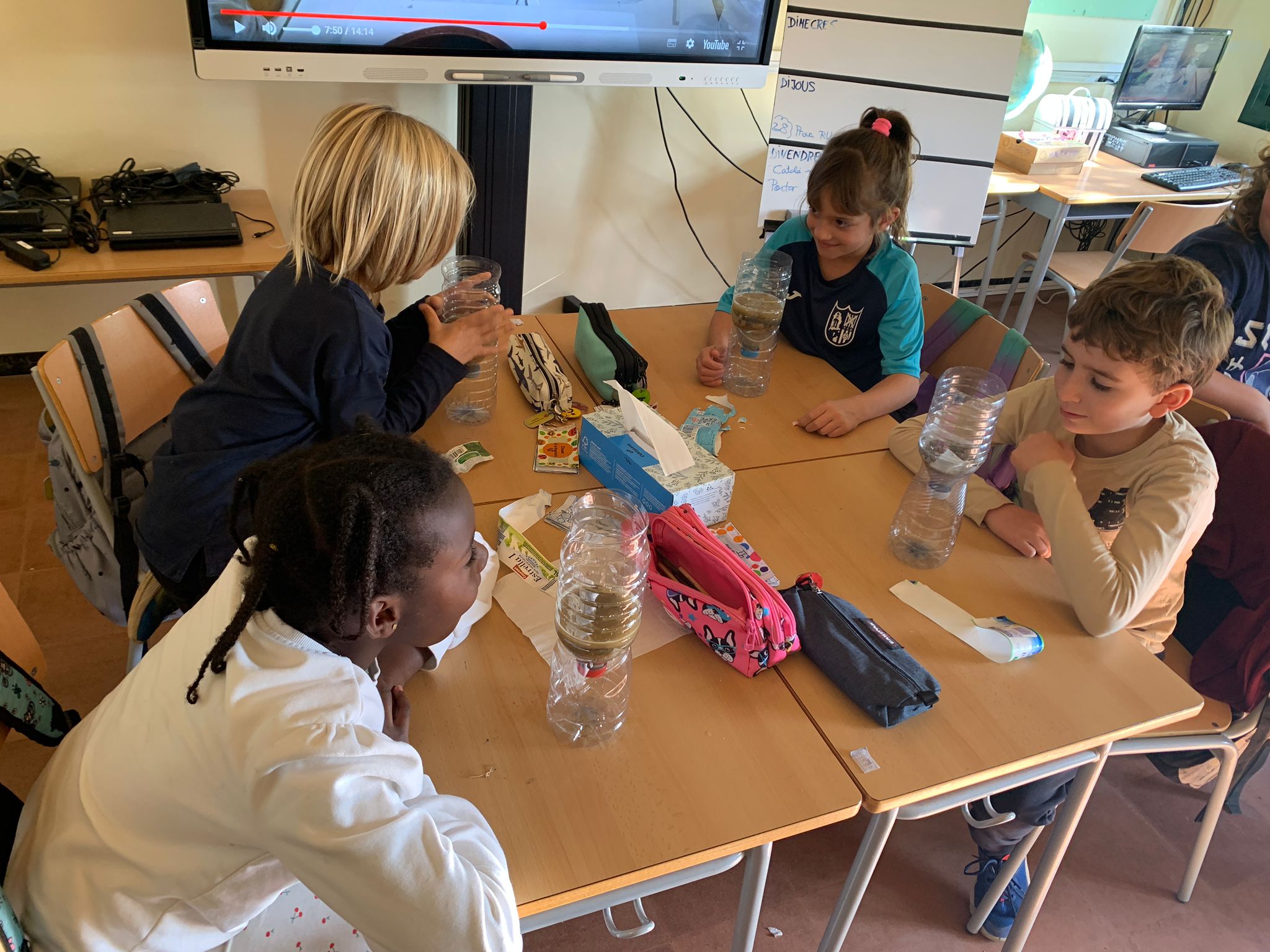 WhatsApp Image 2024-11-19 at 20.59.31 (1)