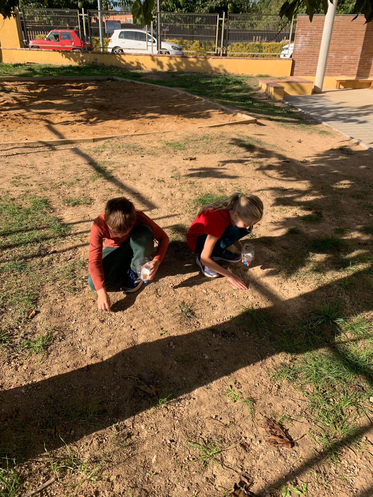 WhatsApp Image 2024-11-19 at 20.59.31 (4)