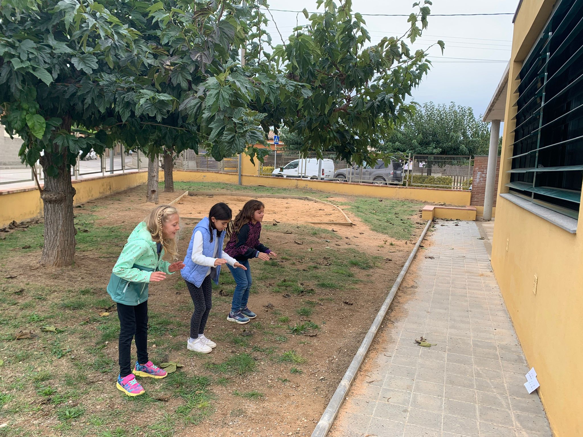 WhatsApp Image 2024-11-19 at 21.06.04 (1)