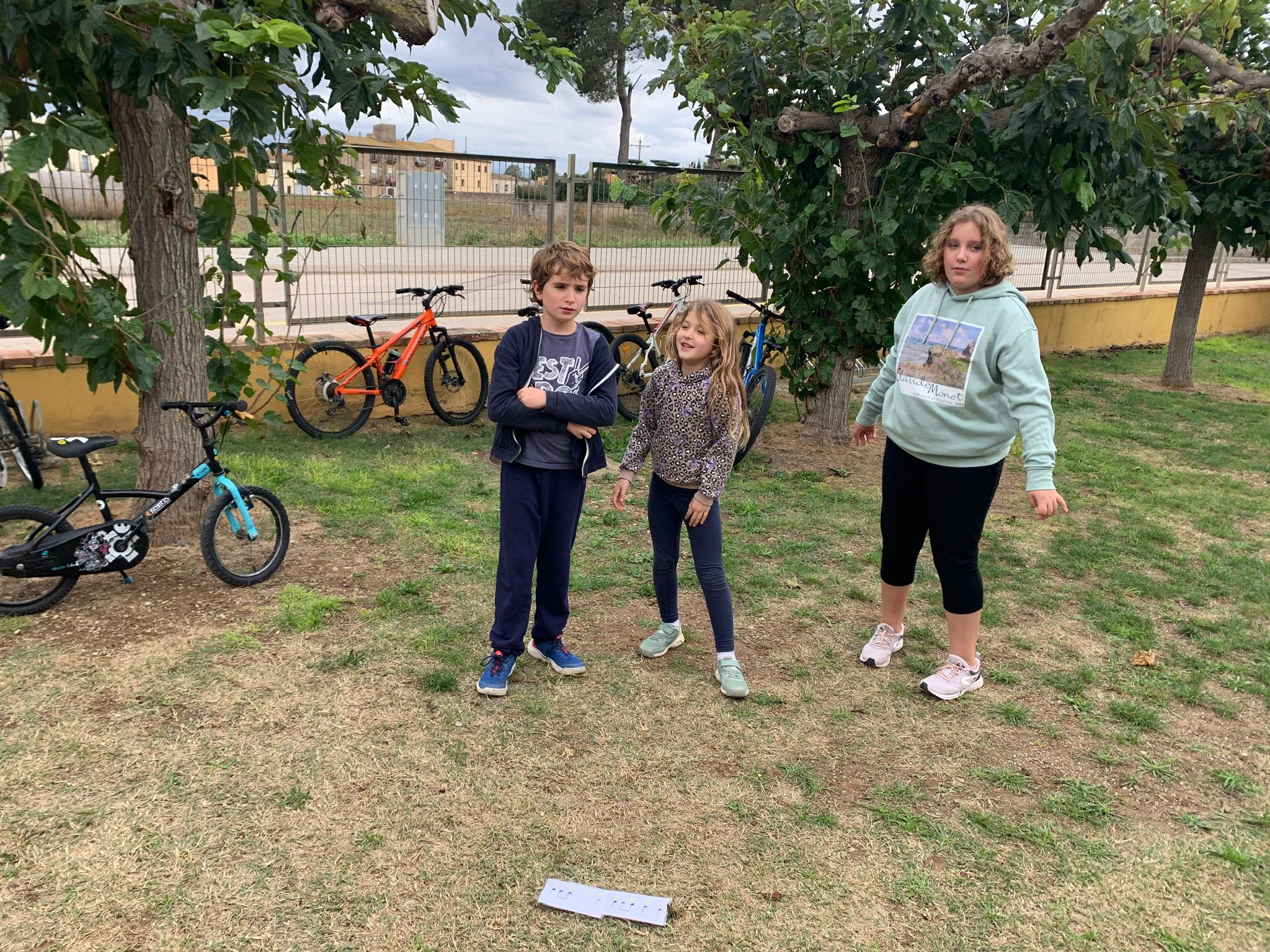 WhatsApp Image 2024-11-19 at 21.06.05