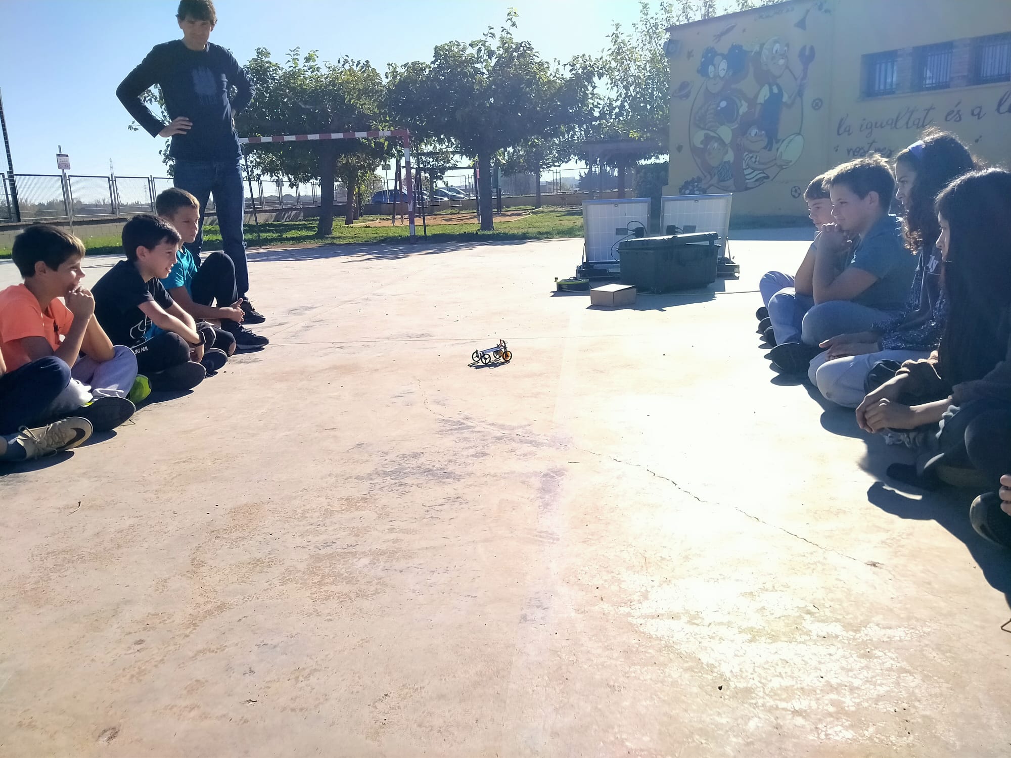 WhatsApp Image 2024-11-29 at 14.34.15