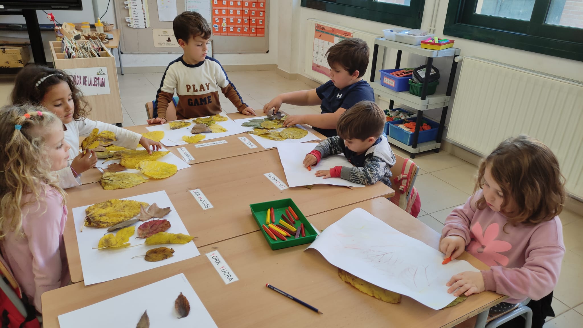 WhatsApp Image 2024-12-09 at 13.53.59