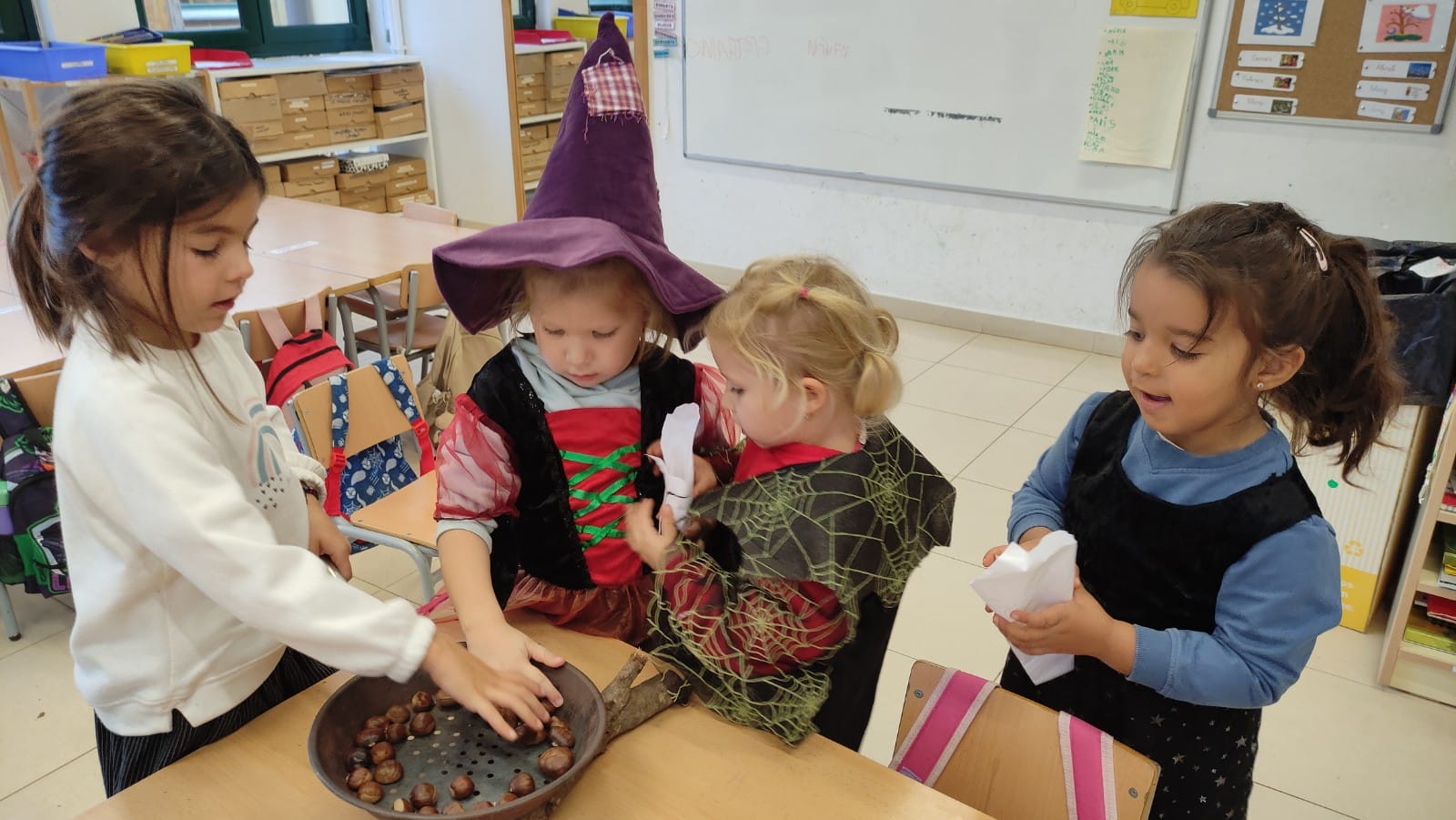 WhatsApp Image 2024-12-10 at 17.11.39 (1)