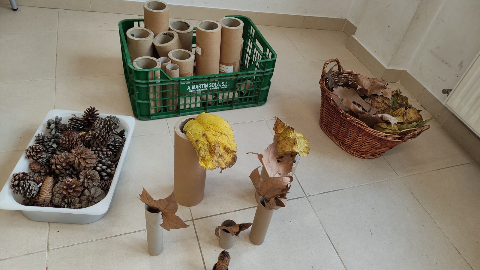 WhatsApp Image 2024-12-10 at 17.12.27