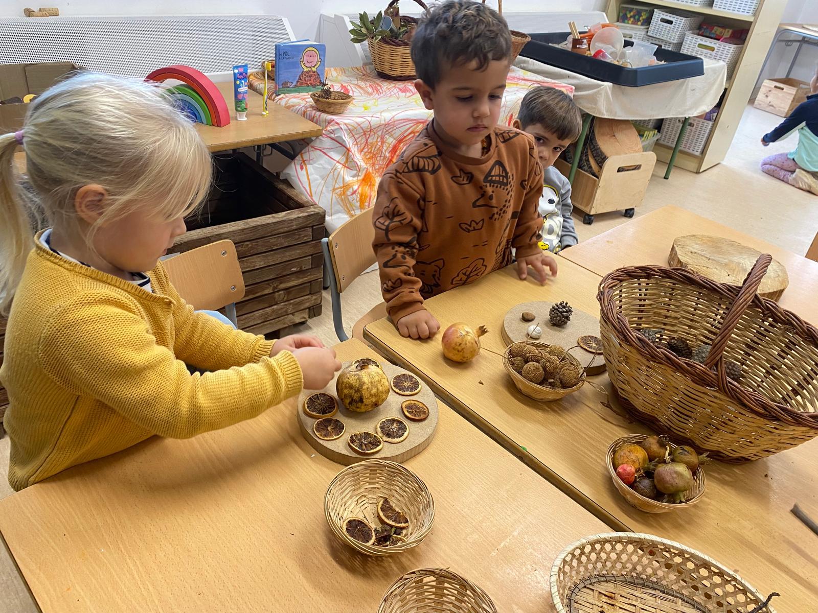 WhatsApp Image 2024-12-10 at 17.17.56