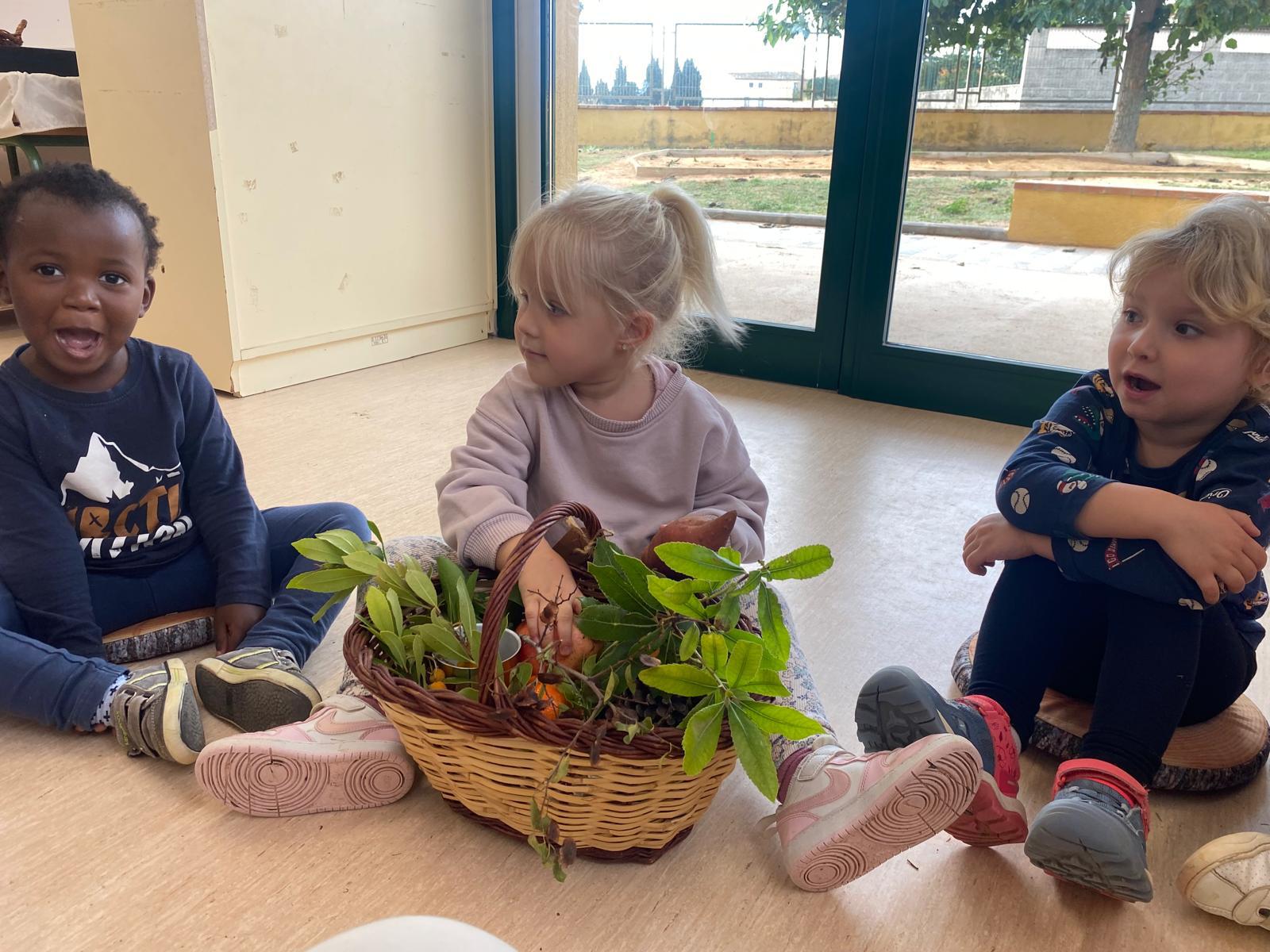 WhatsApp Image 2024-12-12 at 13.56.58