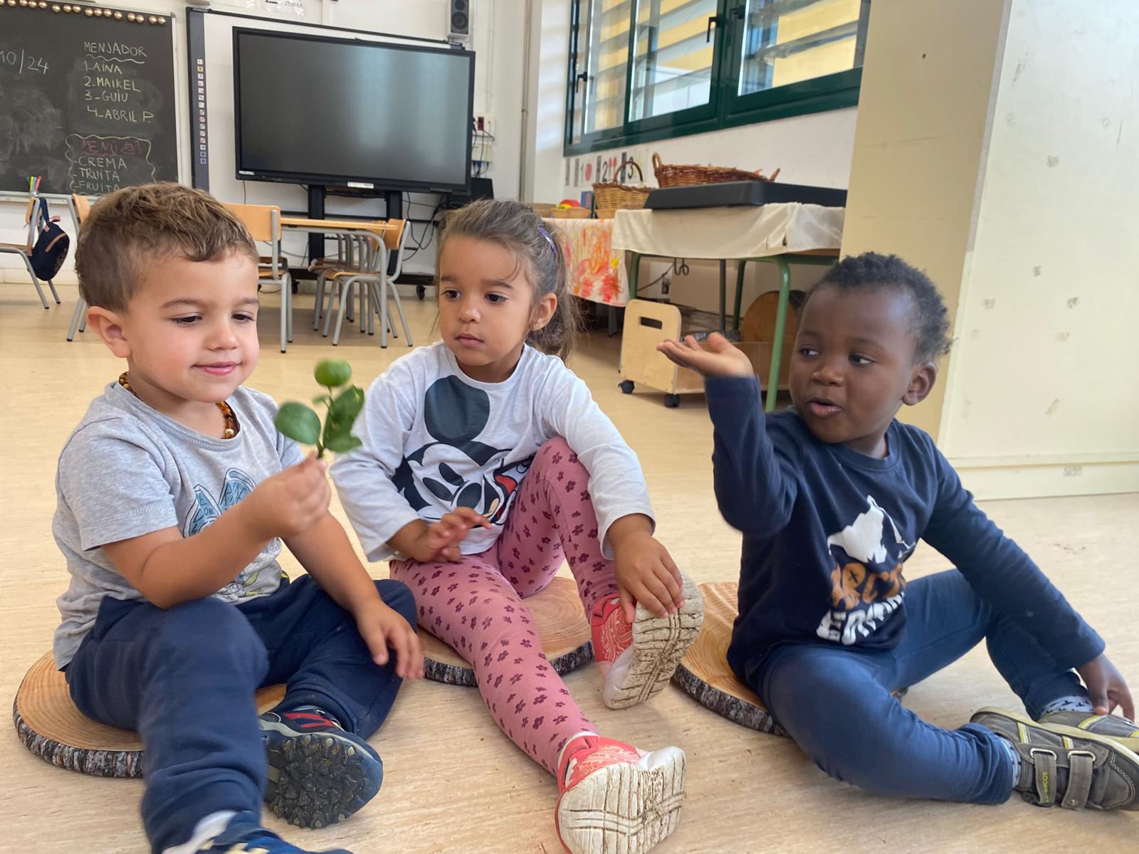 WhatsApp Image 2024-12-12 at 13.57.07