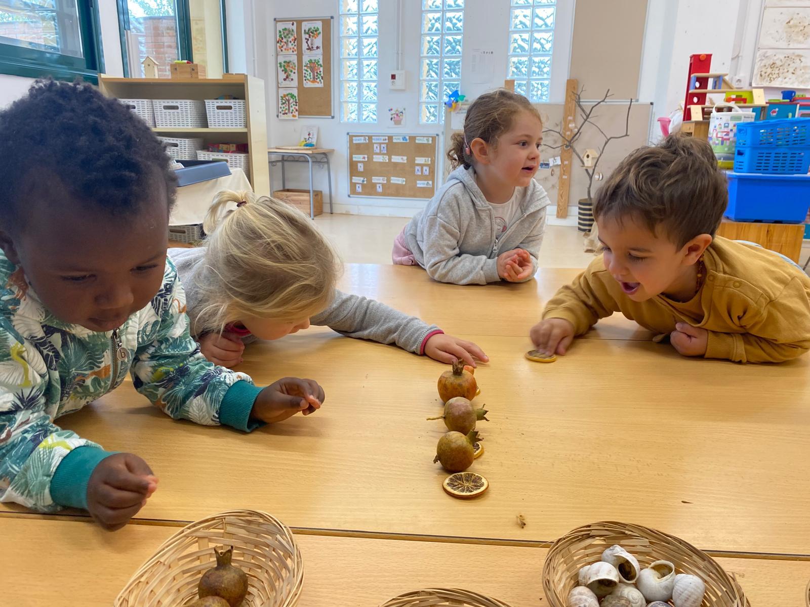 WhatsApp Image 2024-12-12 at 14.18.30