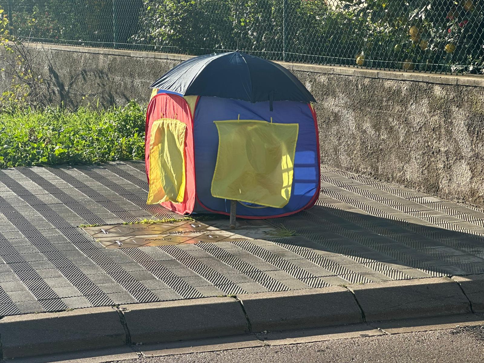 WhatsApp Image 2024-12-13 at 10.39.54