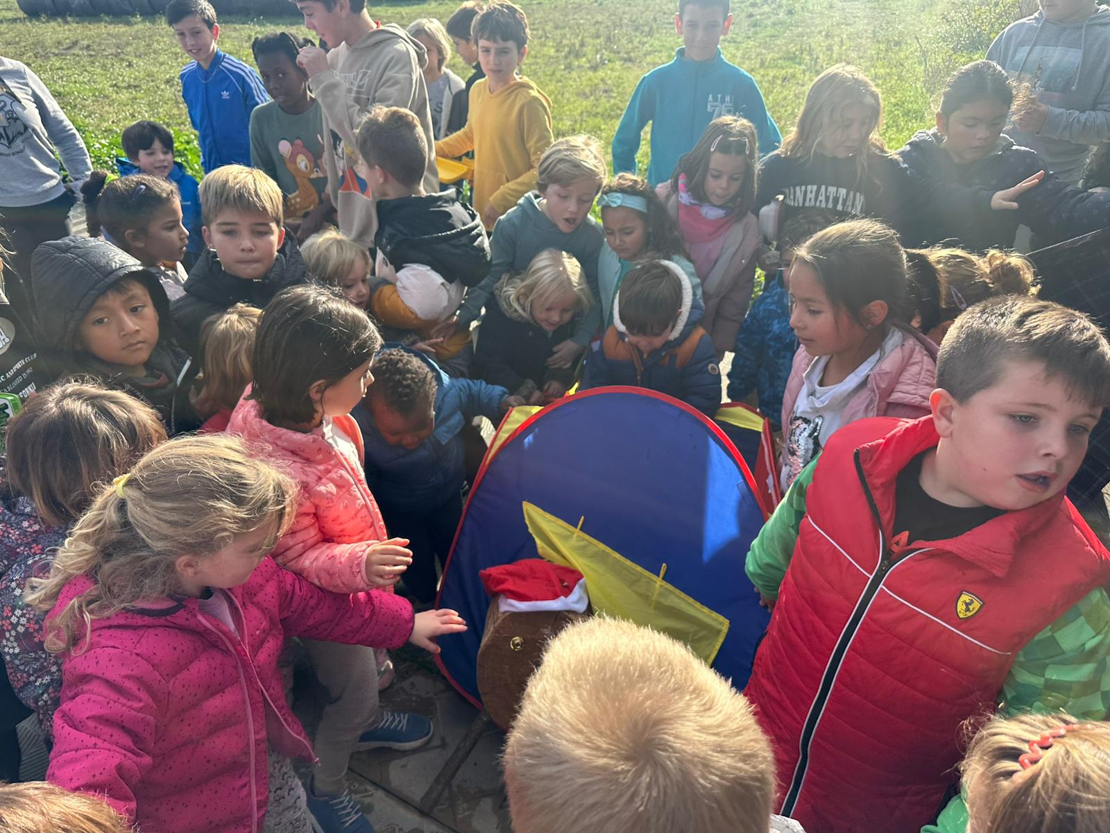 WhatsApp Image 2024-12-13 at 11.05.29