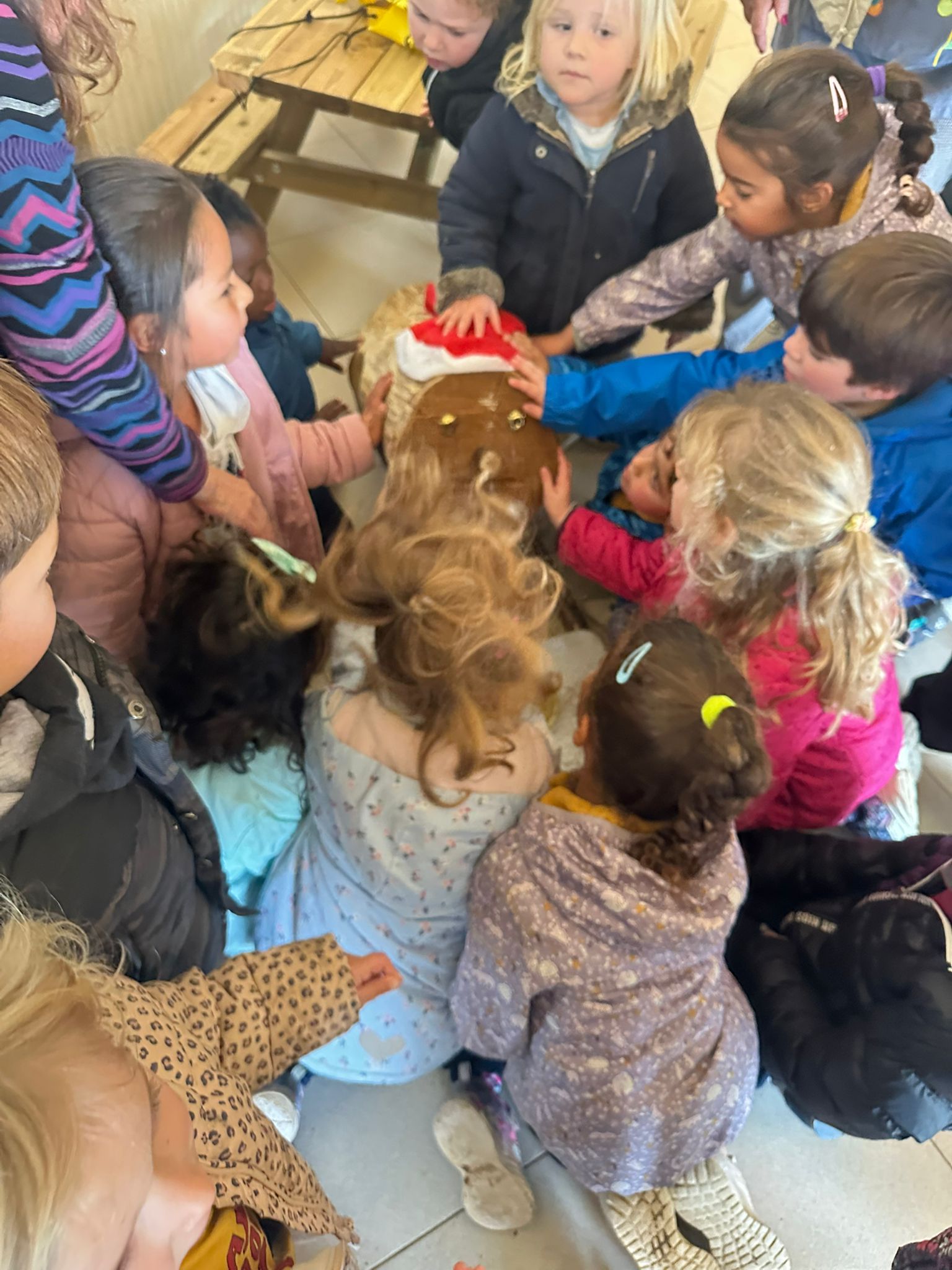 WhatsApp Image 2024-12-13 at 11.10.55