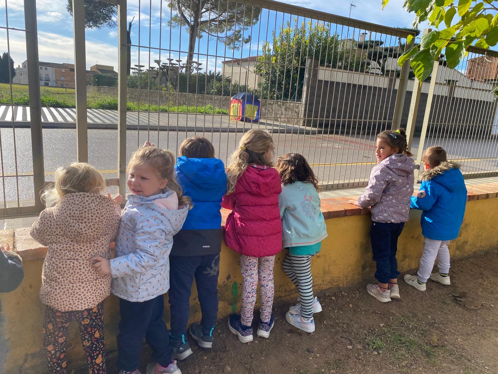 WhatsApp Image 2024-12-13 at 11.16.49