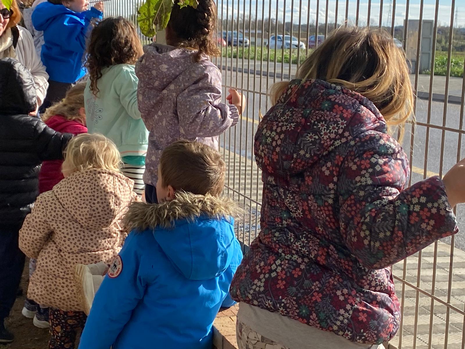 WhatsApp Image 2024-12-13 at 11.16.50 (1)