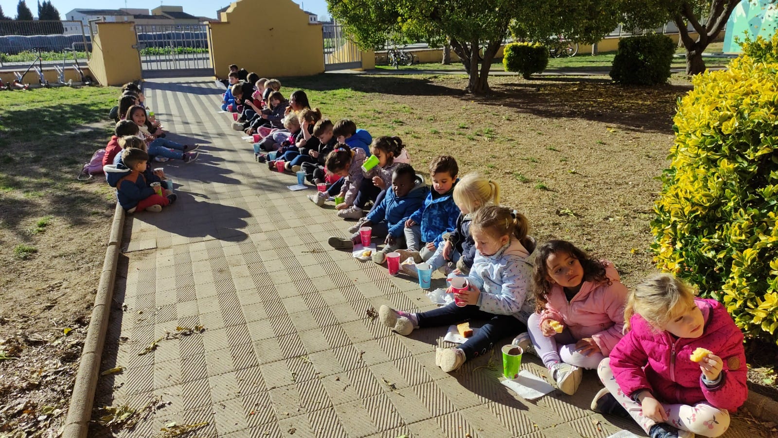 WhatsApp Image 2024-12-20 at 18.54.01