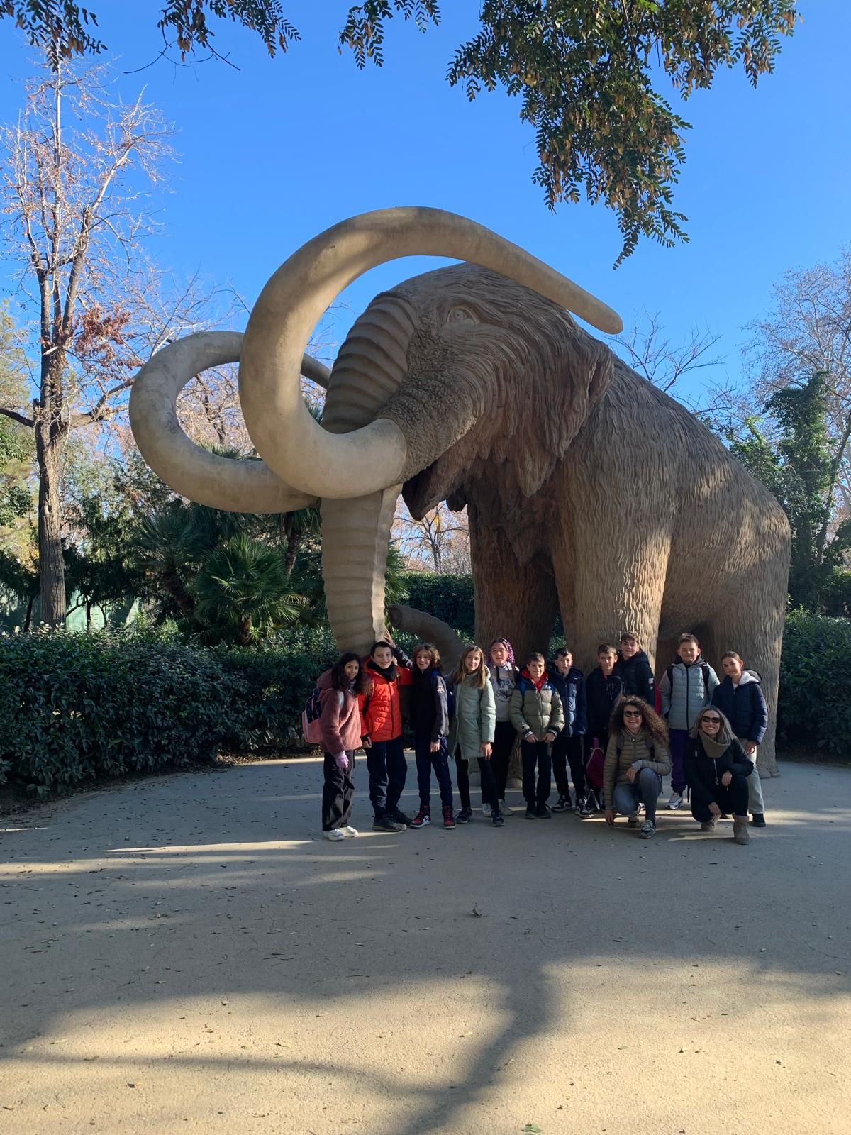 WhatsApp Image 2025-01-09 at 17.07.43 (1)