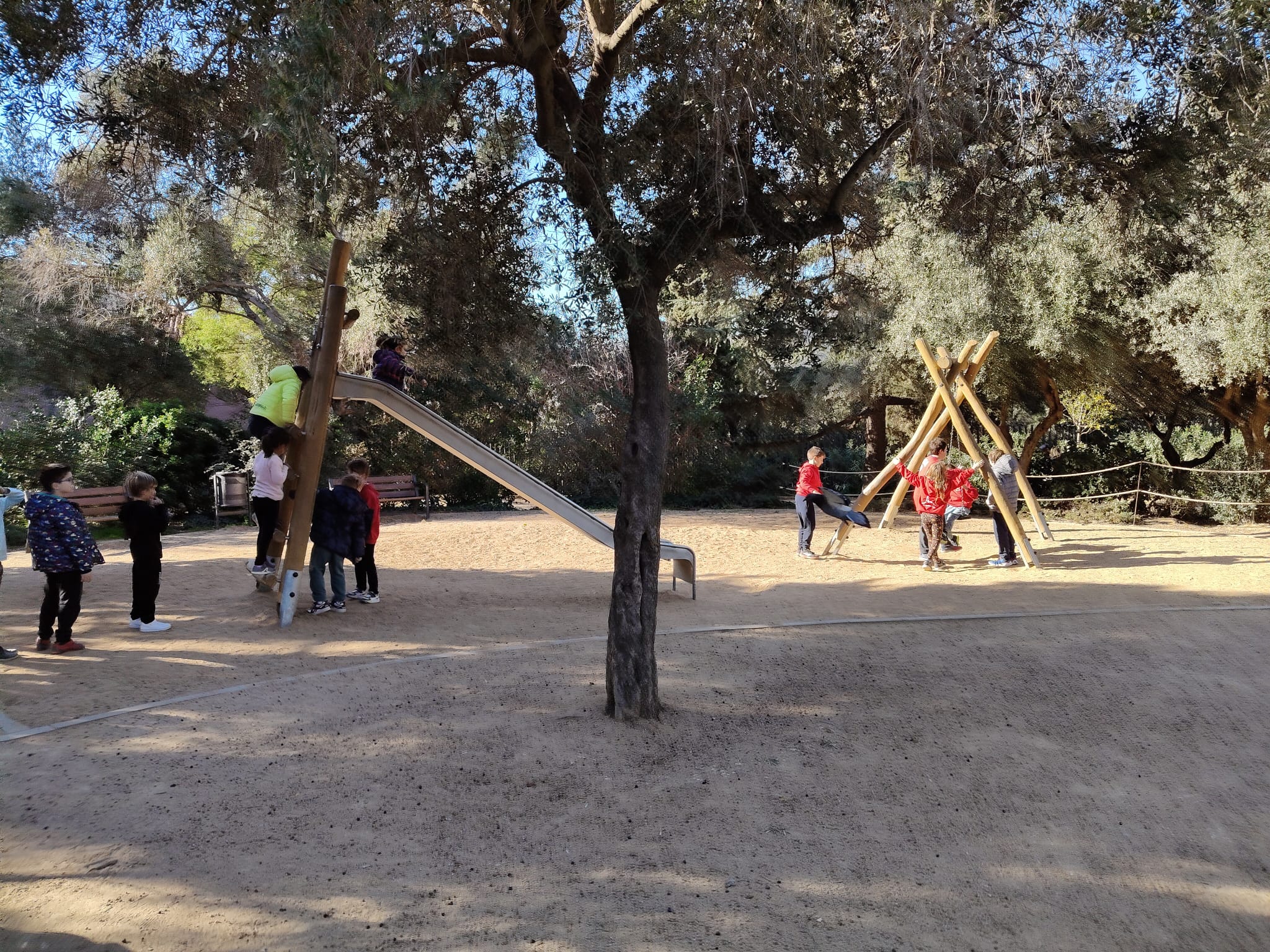 WhatsApp Image 2025-01-09 at 22.22.37 (3)