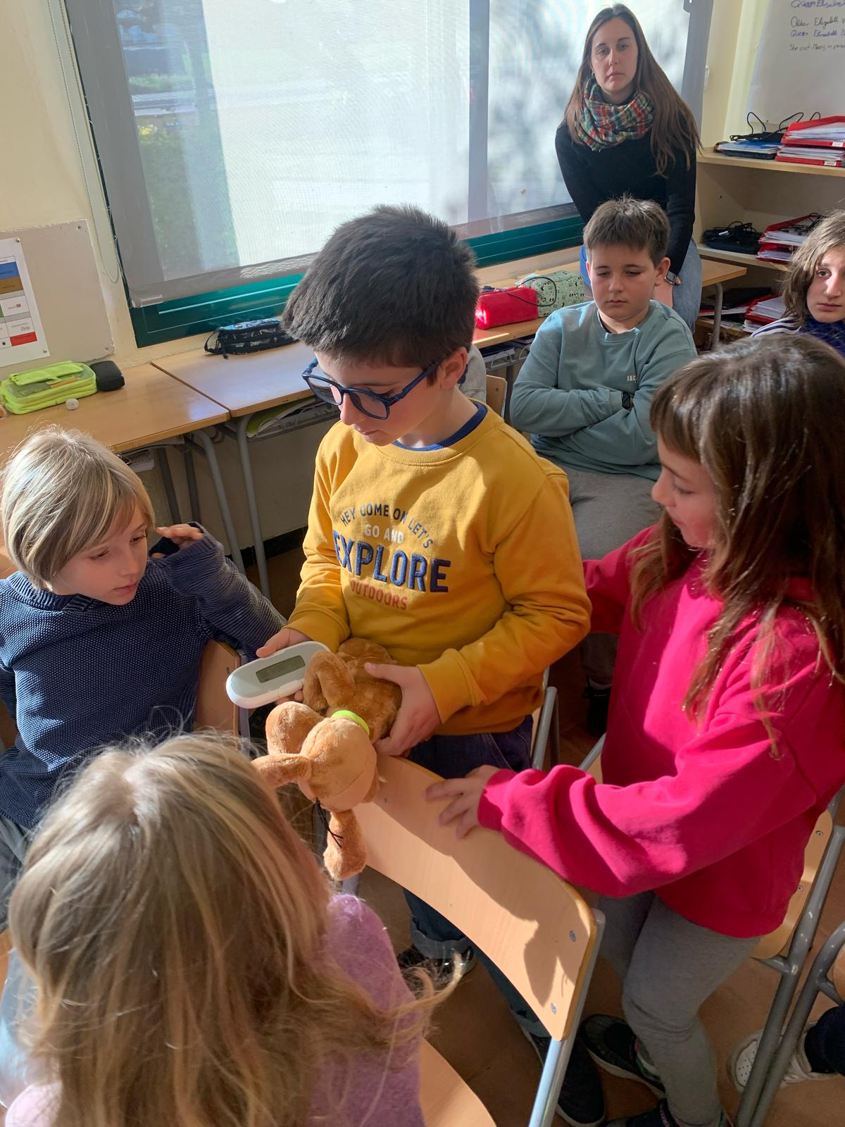 WhatsApp Image 2025-02-05 at 12.43.10 (2)