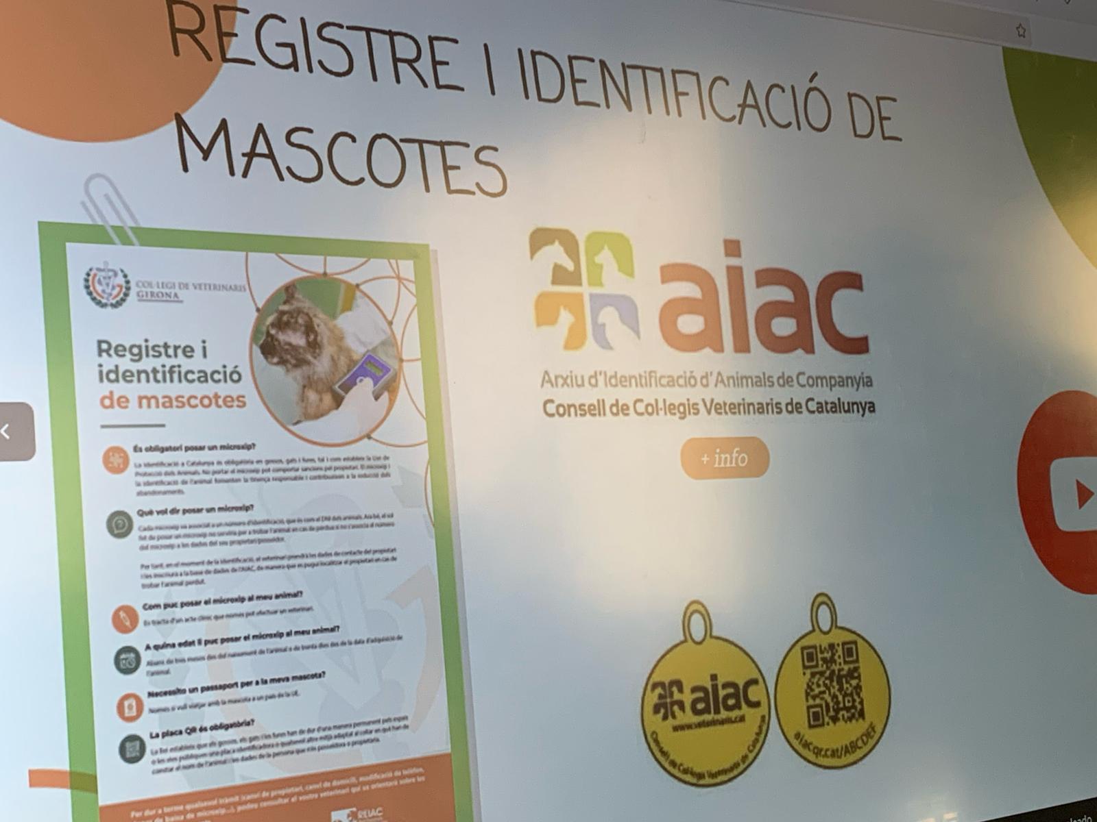 WhatsApp Image 2025-02-05 at 12.43.10