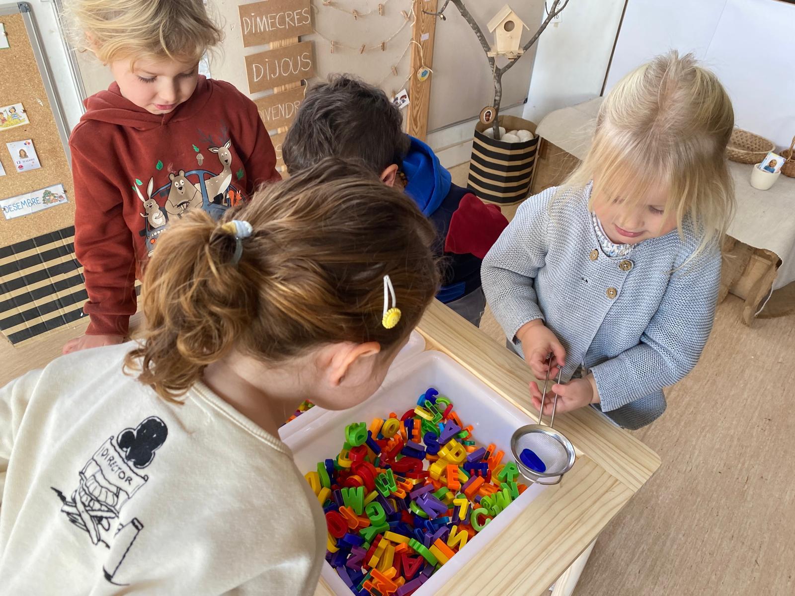 WhatsApp Image 2025-02-07 at 11.23.19