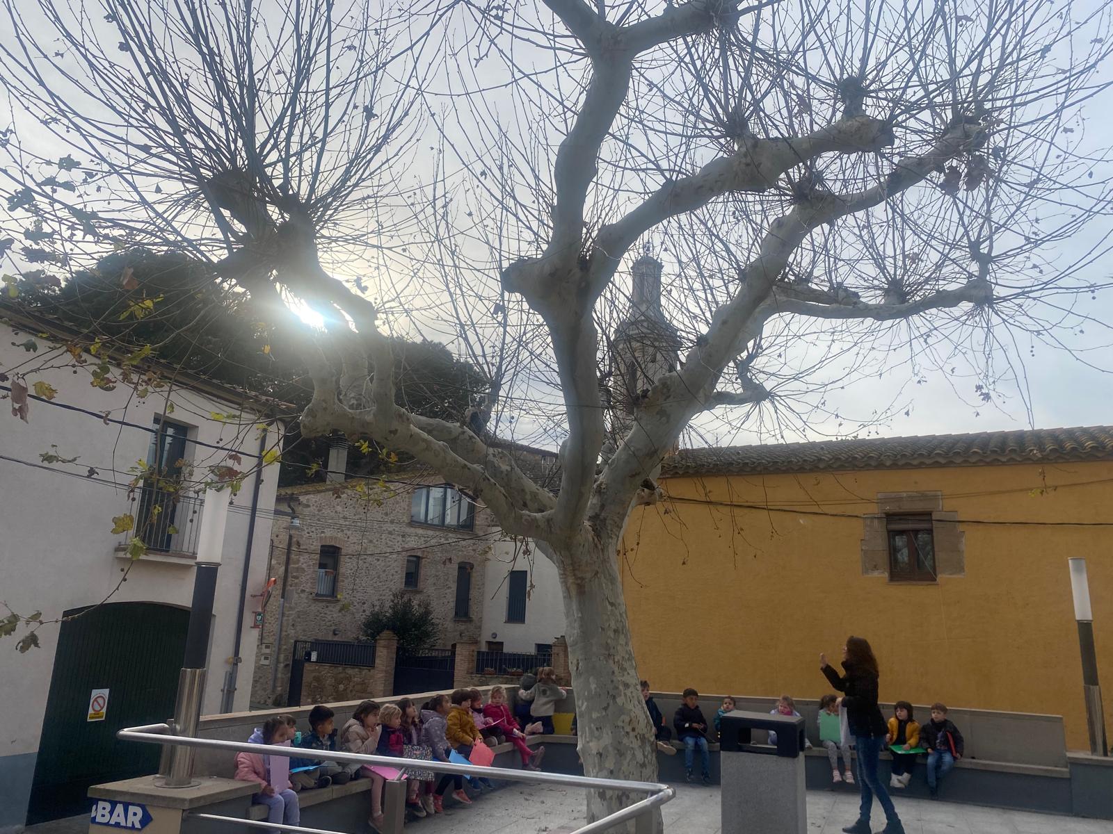 WhatsApp Image 2025-02-20 at 19.27.34